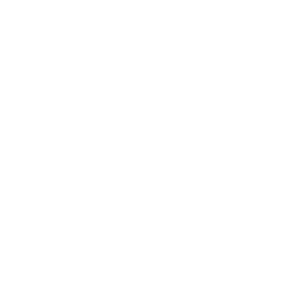 VW